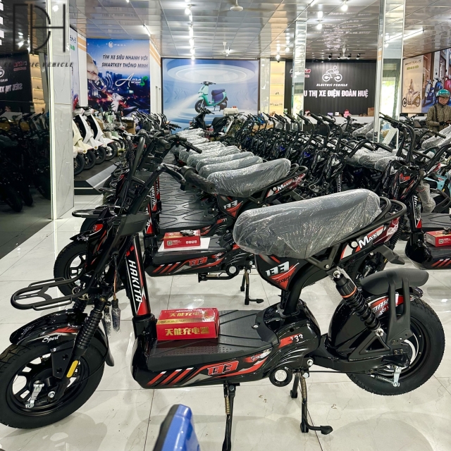 Mẫu Xe Điện M133