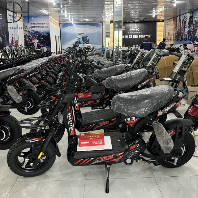 Mẫu Xe Điện M133