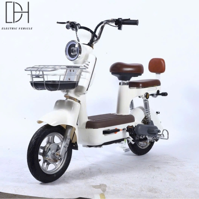 xe-dap-dien-mau-b1