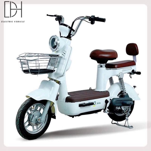 Xe Đạp Điện Mẫu B1