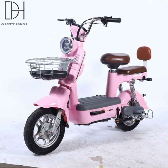 Xe Đạp Điện Mẫu B1