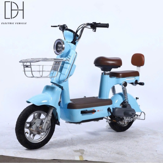 Xe Đạp Điện Mẫu B1