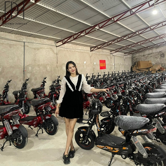 Mẫu Xe Điện M133