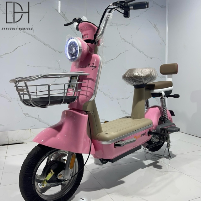 Xe Đạp Điện Mẫu B1