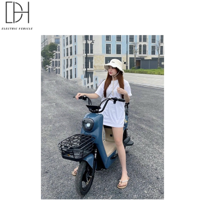 Mẫu Xe Điện D1