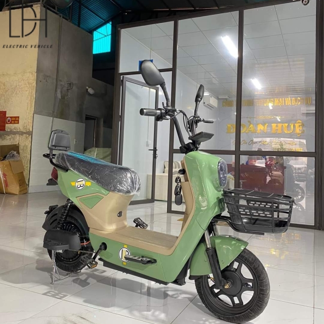 Mẫu Xe Điện D1