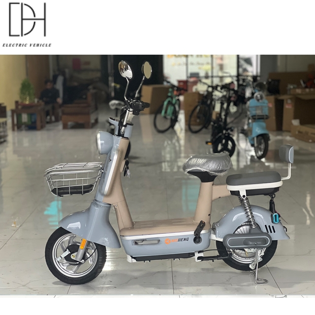 Xe Đạp Điện Mẫu B1
