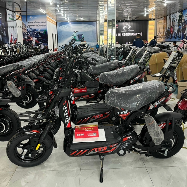 Mẫu Xe Điện M133