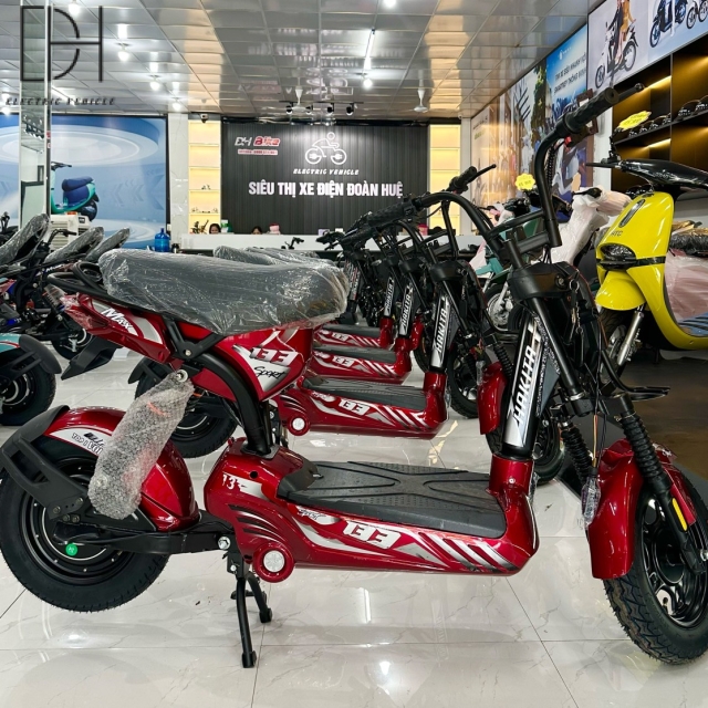 Mẫu Xe Điện M133